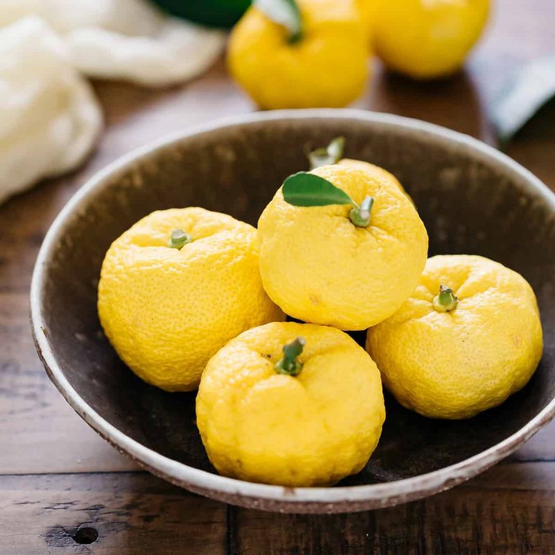 Yuzu: The Japanese Citrus