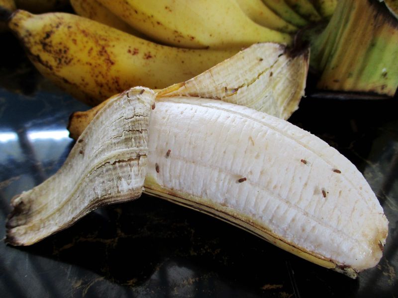 Overripe Bananas May Attract Mold or Fruit Flies