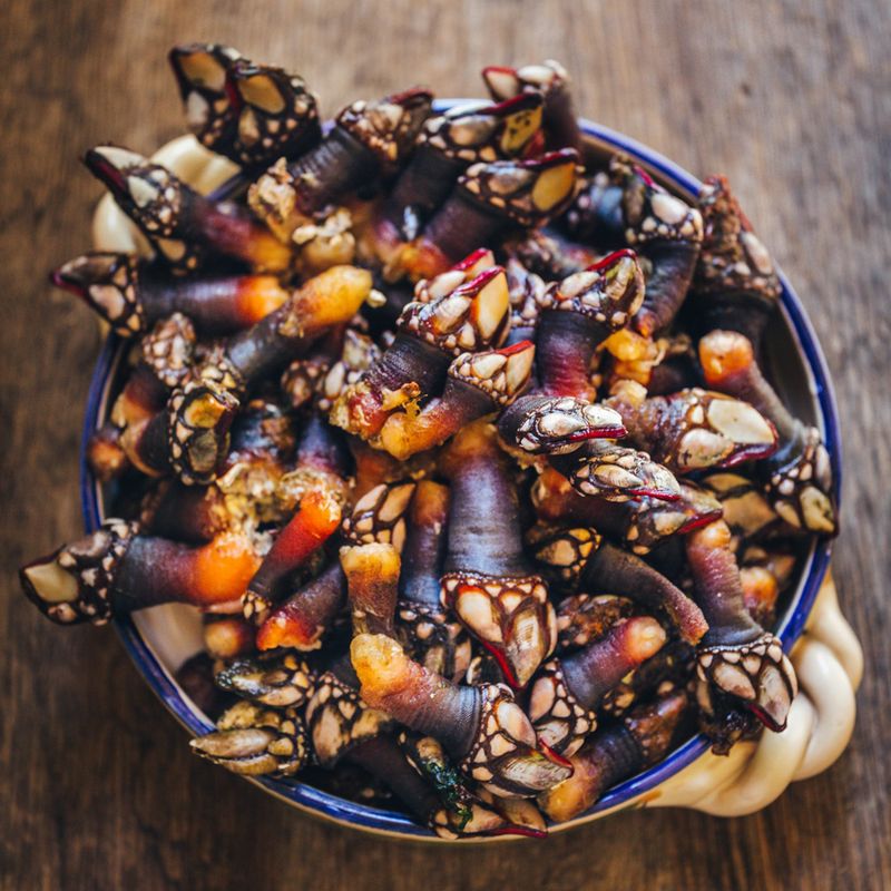 Oregon: Gooseneck Barnacles
