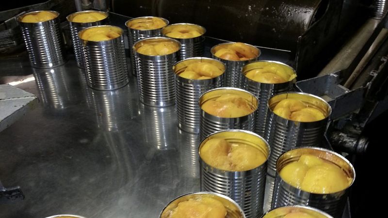 Lead-Soldered Canned Foods