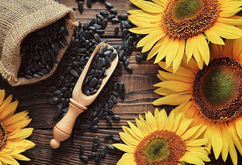 Sunflower Seeds