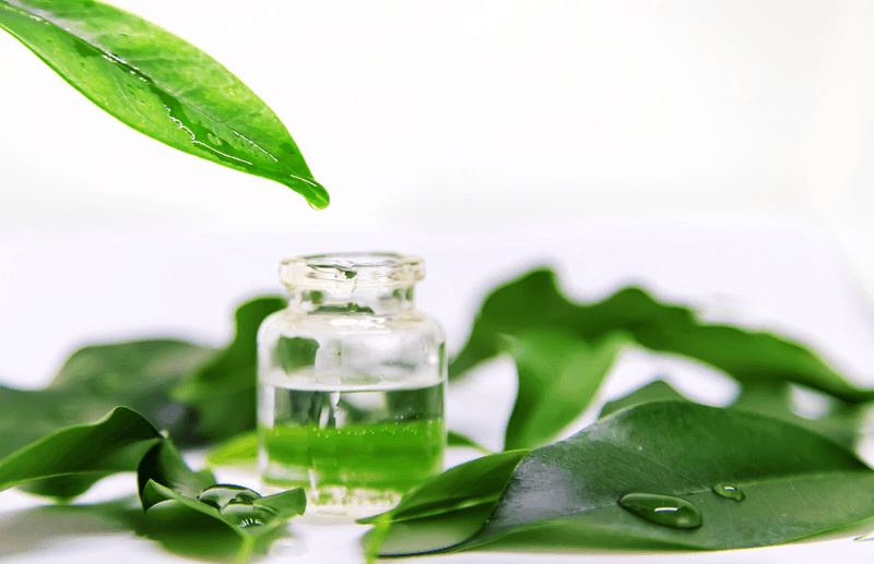 Green Tea