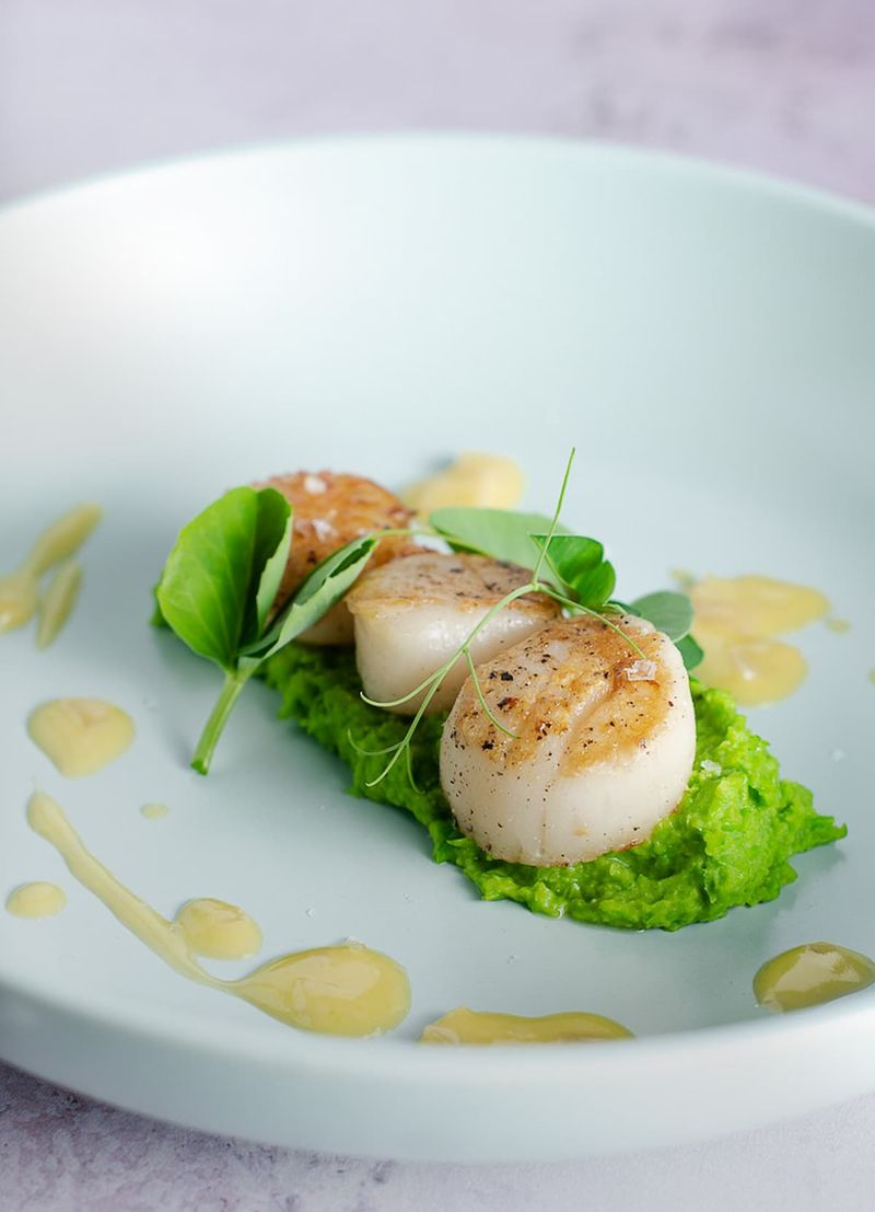 Seared Scallops over Pea Purée