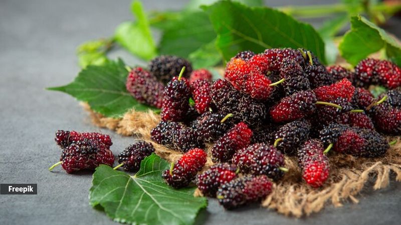 Mulberries (Dried)
