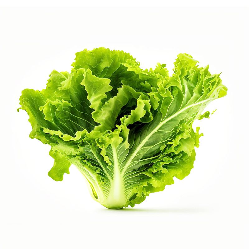 Whole Heads of Lettuce or Organic Bunch Greens