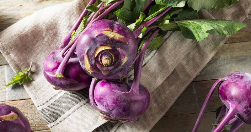 Kohlrabi