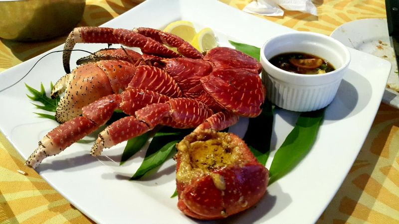 Coconut Crab (Pacific Islands)