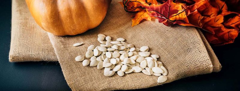 Pumpkin Seeds