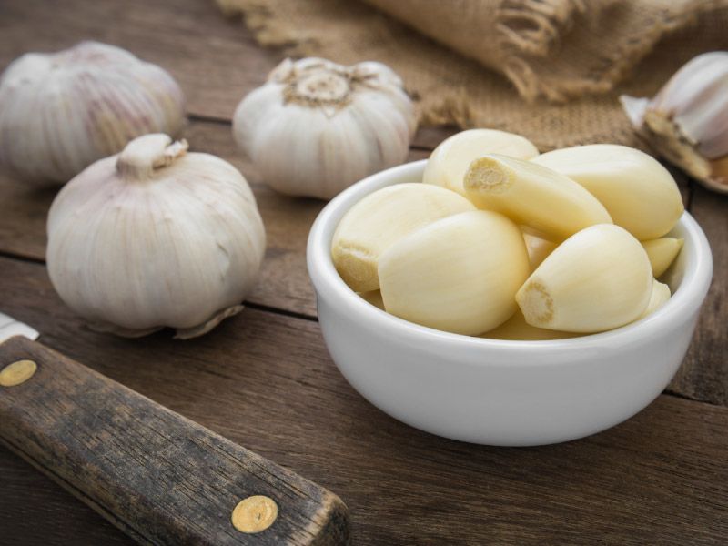 Garlic
