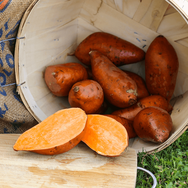 Sweet Potatoes