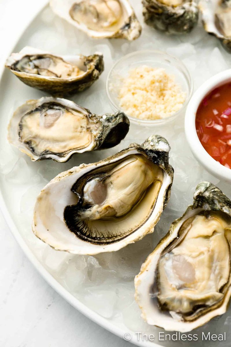 Oysters
