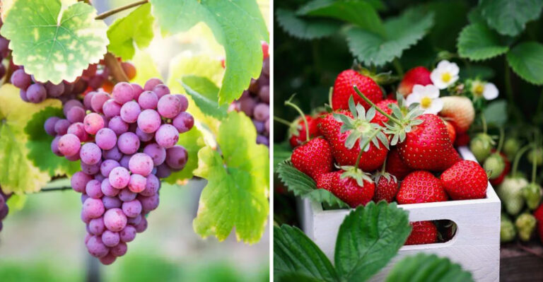 The 15 Best Hydrating Foods for Kidney Health
