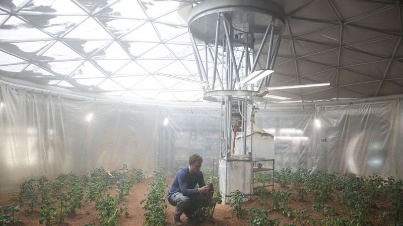 Boiled Potatoes – The Martian