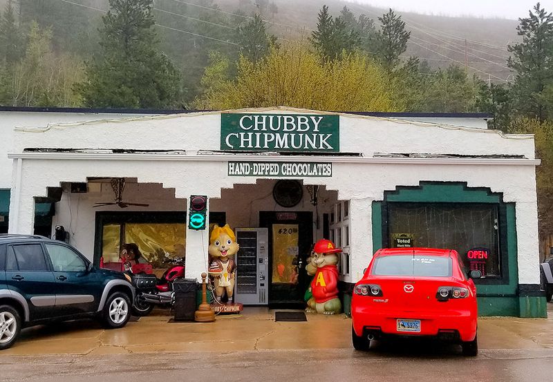 Chubby Chipmunk – Deadwood, South Dakota
