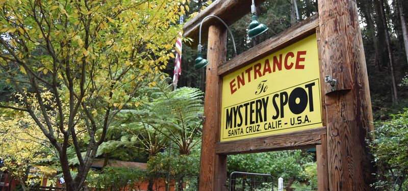 Mystery Spot – Santa Cruz, CA
