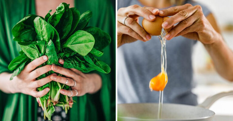 The Ultimate List: 20 Best Foods for Senior Brain Health
