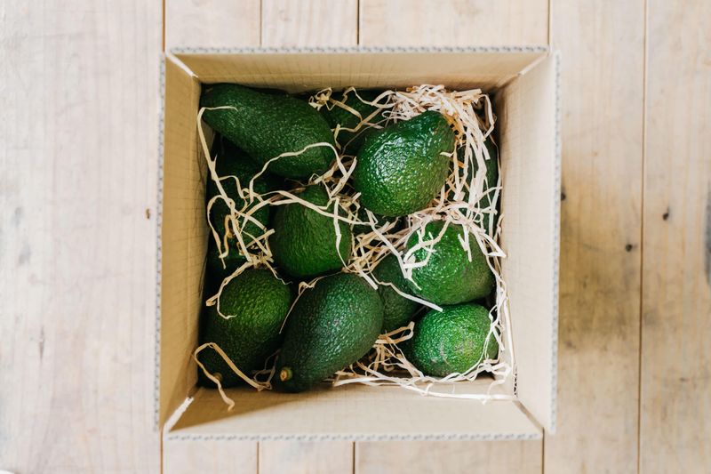 Storing Whole Avocados in the Fridge