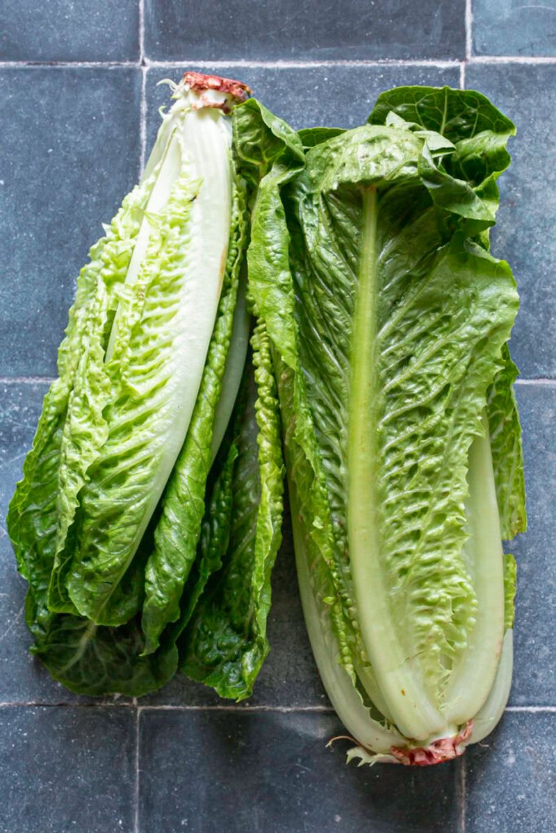 Lettuce (Especially Romaine and Iceberg)