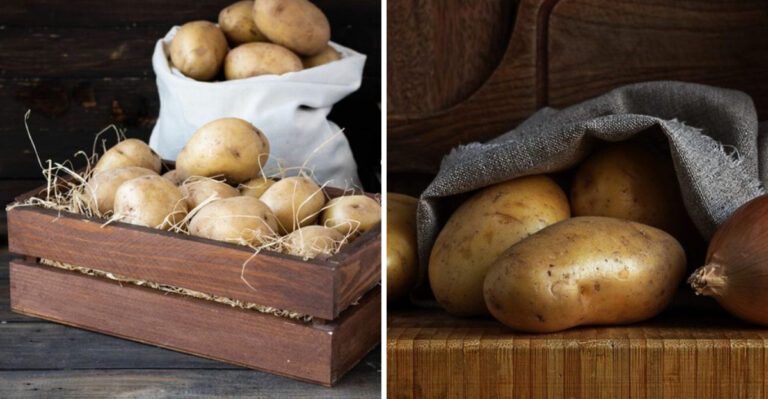 We Tried 15 Ways Of Storing Potatoes And The Winner Outlasted Them All For Months