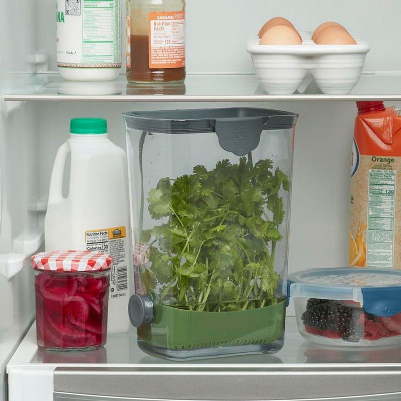 Herb Keeper Container