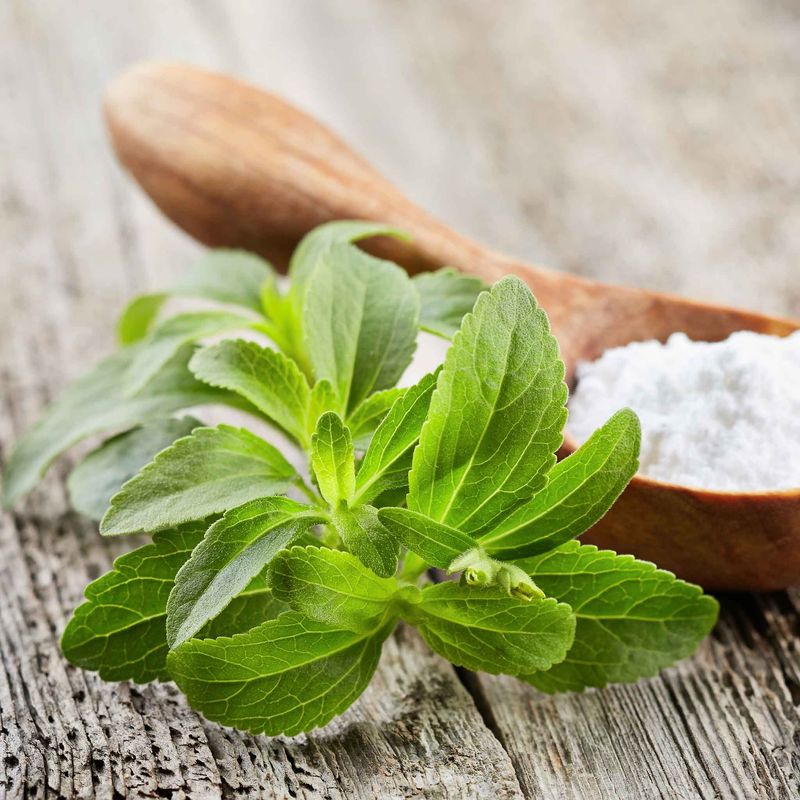 Stevia Leaves