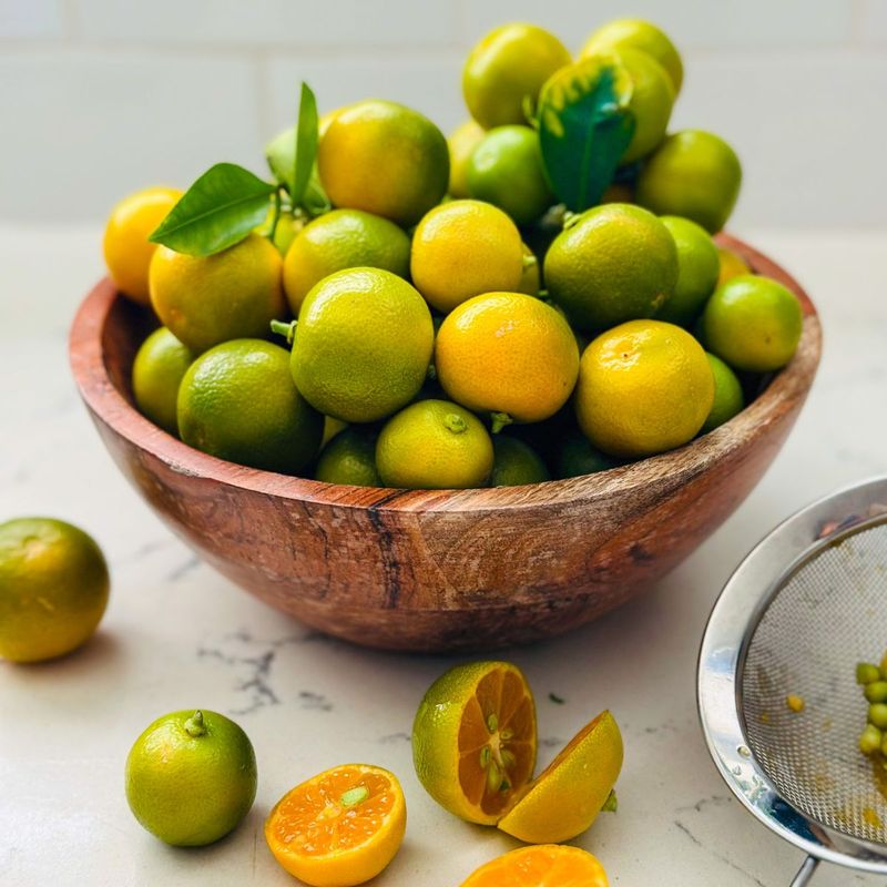 Calamansi: The Philippine Citrus