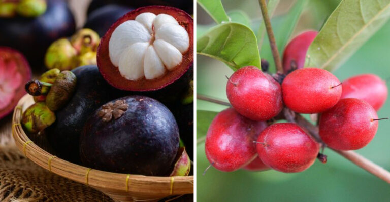 10 Rare Fruits So Elusive, You’ll Likely Never Taste Them