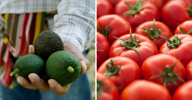 19 Everyday Foods Disappearing From Shelves Due To Tariffs