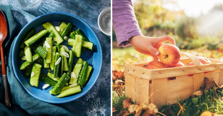 20 Biblical Foods That Americans Still Enjoy On Their Plates Today