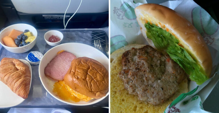 20 In-Flight Meals That Made Passengers Lose Their Appetite