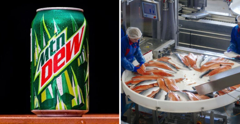 20 U.S. Foods That Are Banned Or Not Allowed In Other Countries