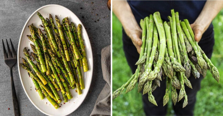 6 Asparagus Myths That Distract and 5 Benefits That Go Beyond the Plate
