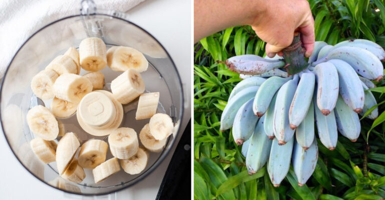 6 Bananas That Are Just Bananas and 5 You Didn’t Know You Needed