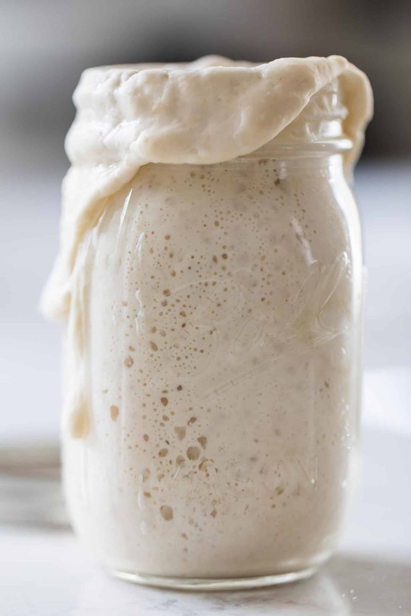 Feed Your Starter When It Doubles in Size