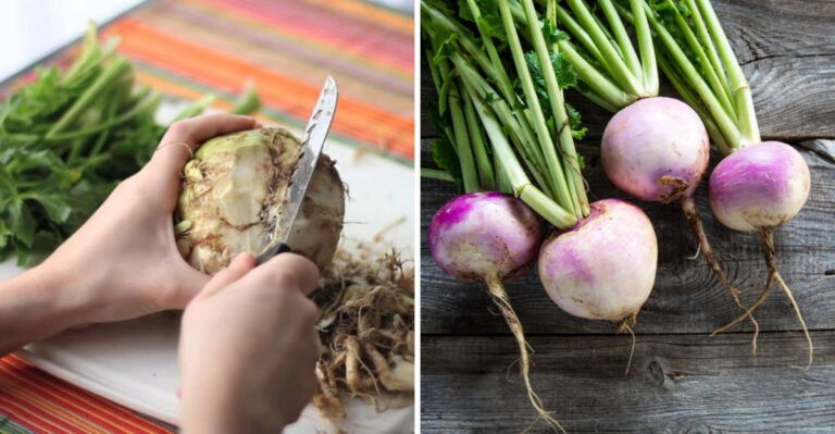7 Root Veggies Not Worth the Hype and 5 You Absolutely Must Try