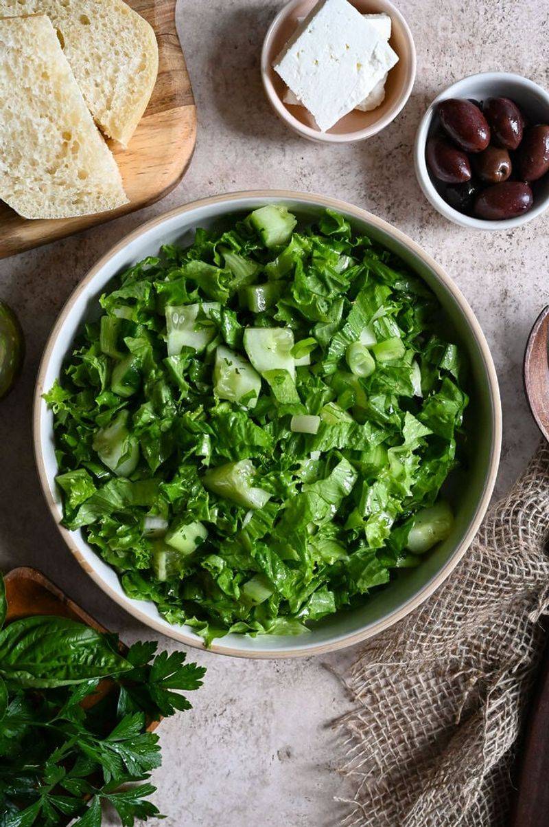 Plain Garden Salad