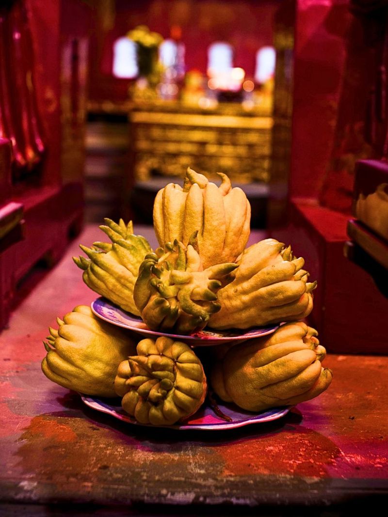 Buddha’s Hand