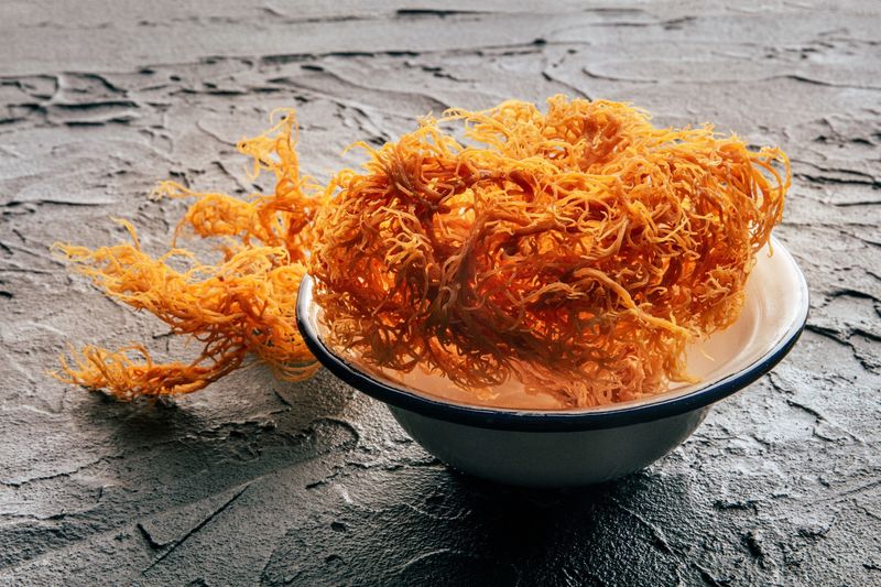 Carrageenan