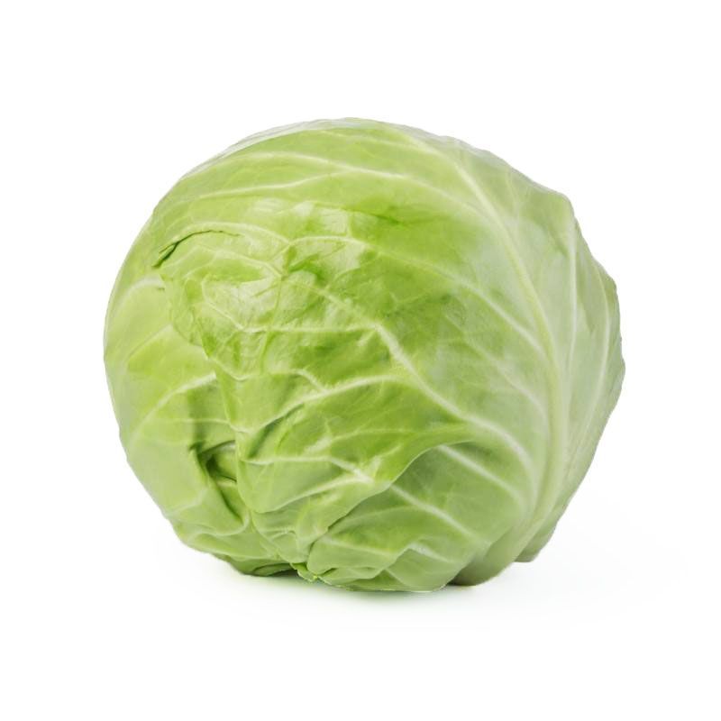 Cabbage