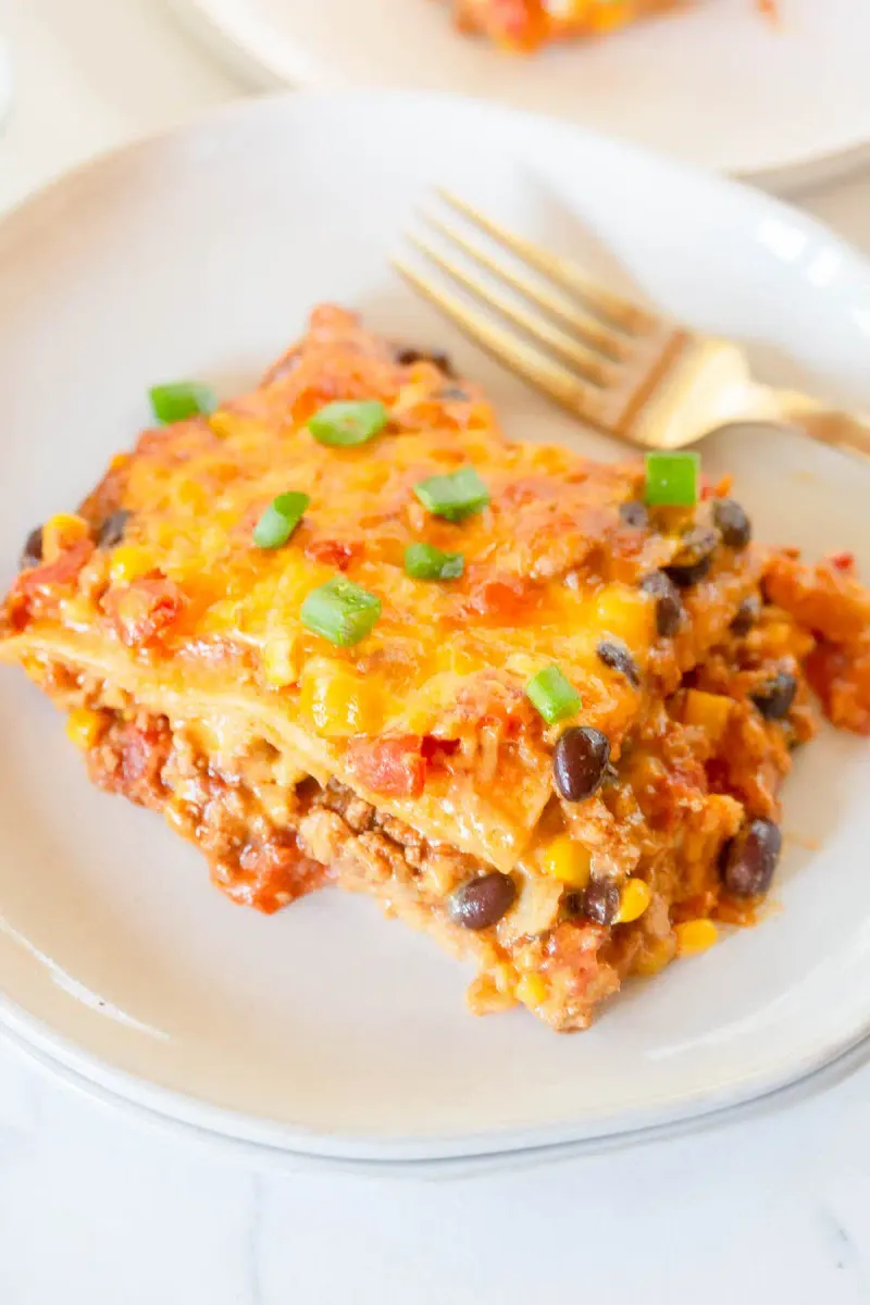 Turkey Enchilada Casserole