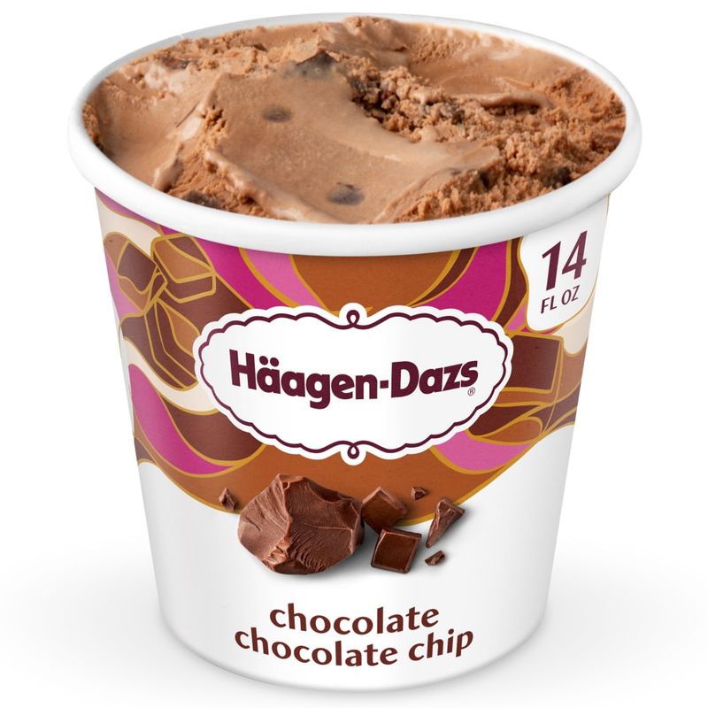 Haagen-Dazs Chocolate Chocolate Chip