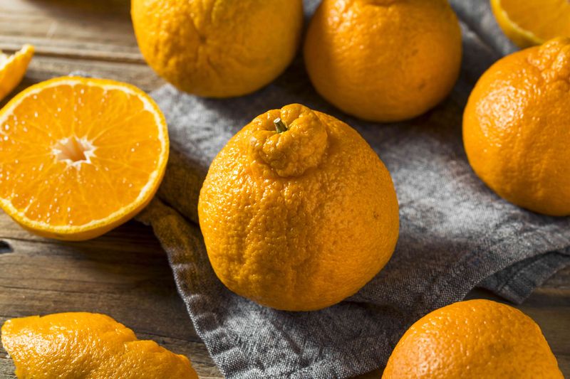 Sumo Citrus (Dekopon Oranges)