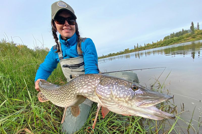 Northern Pike (Northern Lakes)