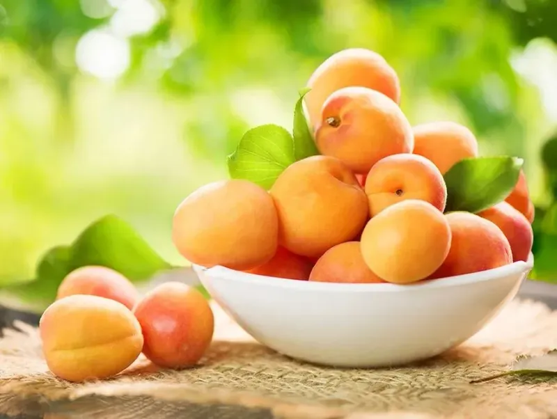 Apricots
