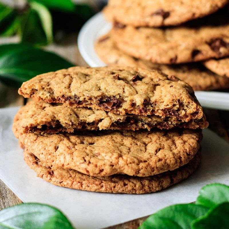 Panera Chocolate Chipper Cookie