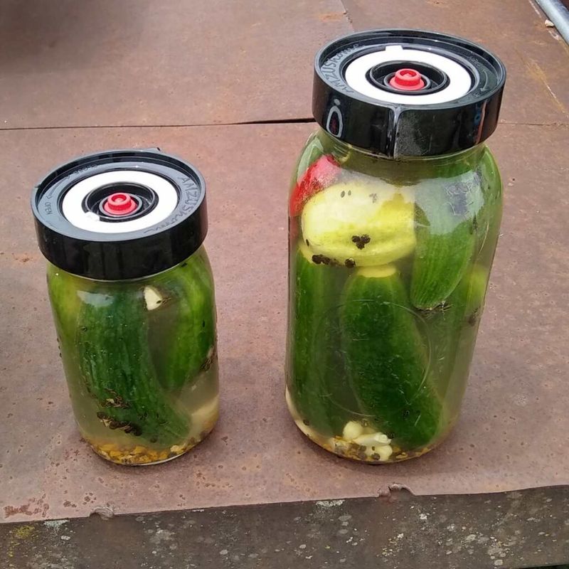 Cucumber + Pickle Anything
