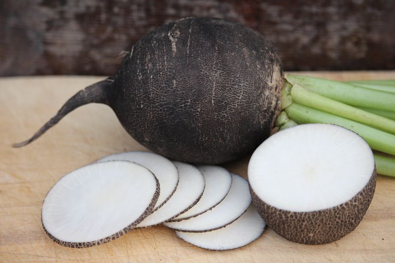 Black Radish
