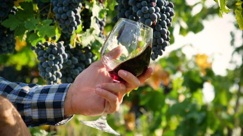 Grapes