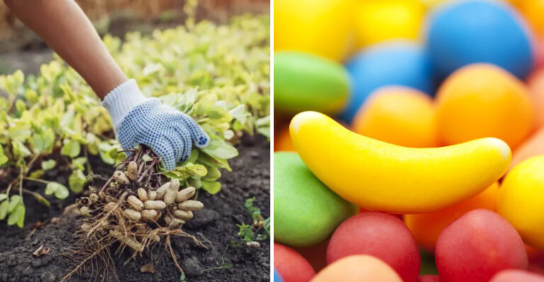 Foodie Challenge: 15 Jaw-Dropping Food Facts To See If You’re In The Know