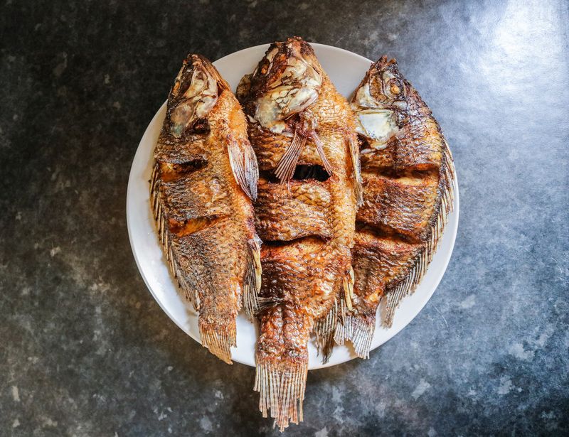 Fish